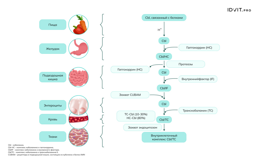 Рисунок 3.jpeg