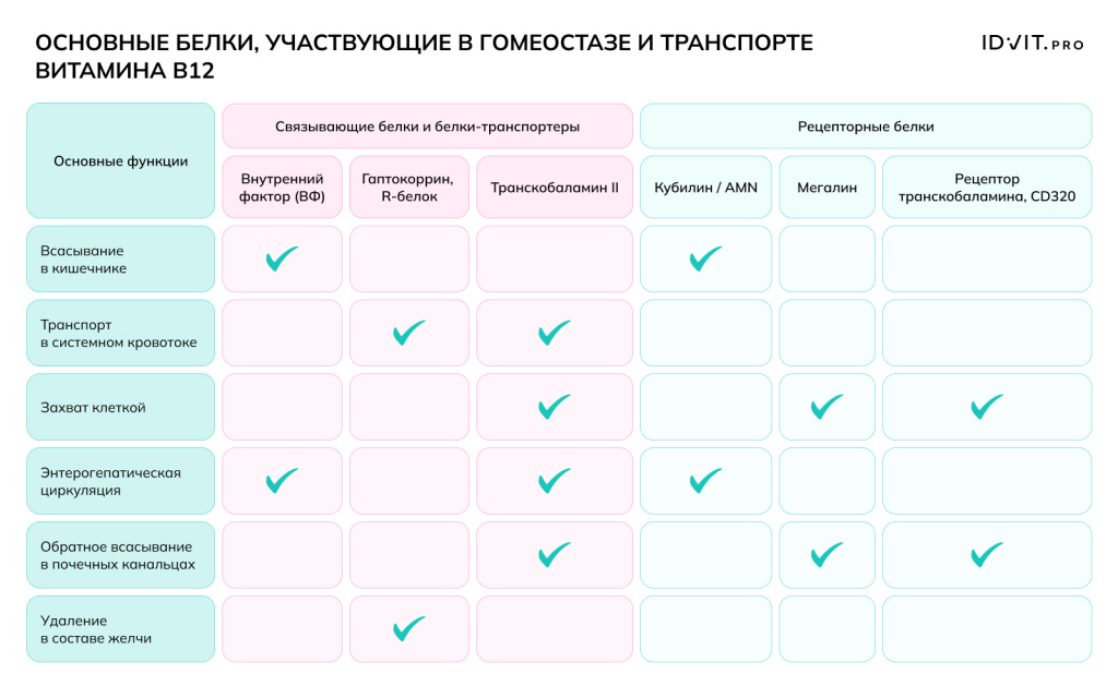 Рисунок 4.jpeg